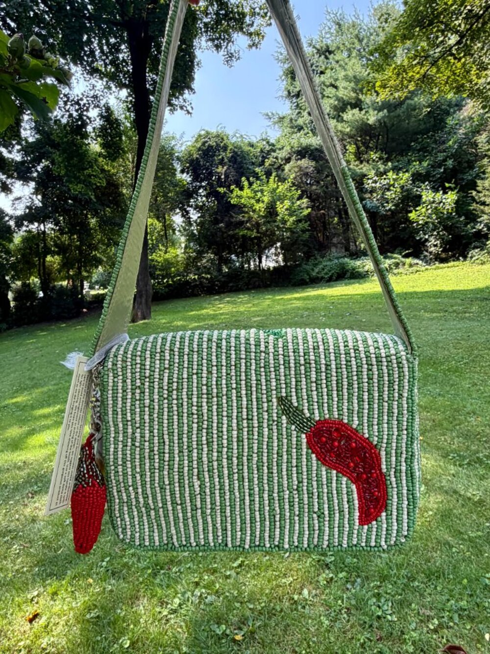 NWT Striped Viral Beaded Bag Chili Pepper Red & Green - Picture 2 of 5